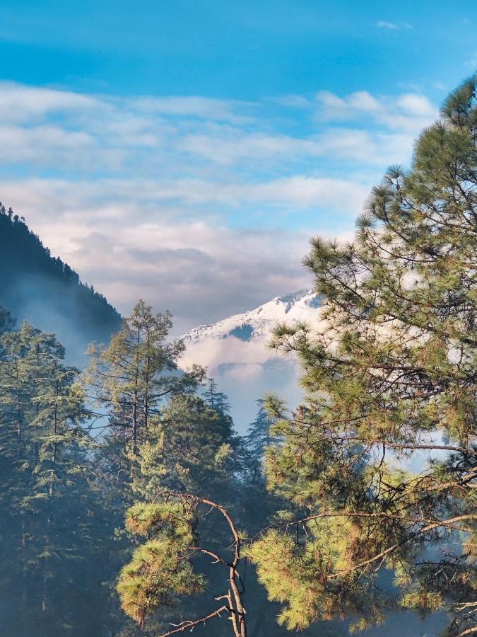 Free Culture, Chalal Bed & Breakfast Kasol Exterior photo